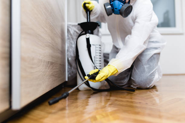 Best Pest Control for Homes  in Hollywood, SC
