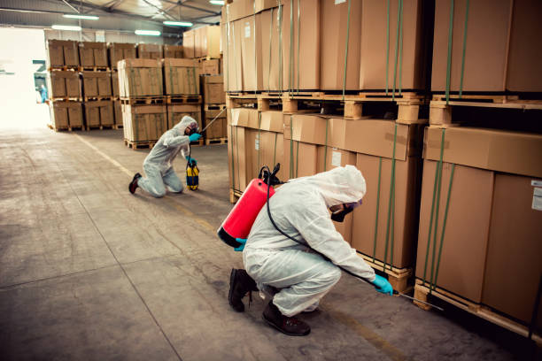 Best Bed Bug Extermination  in Hollywood, SC