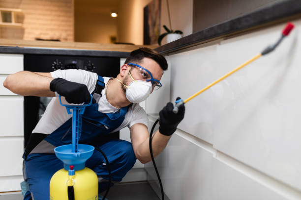 Best Affordable Pest Control Services  in Hollywood, SC