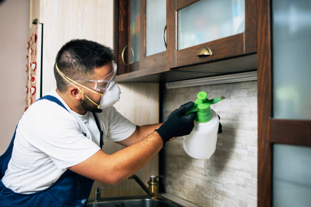 Best Emergency Pest Control  in Hollywood, SC