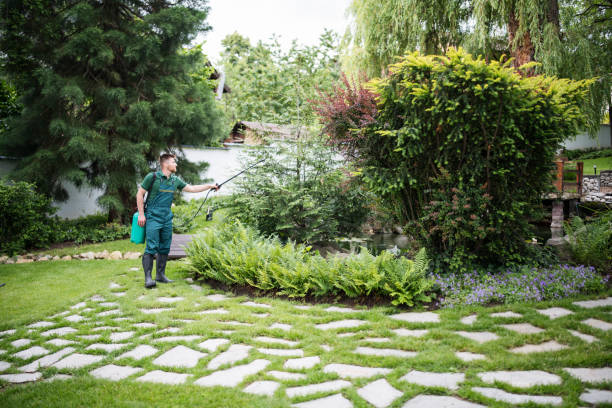 Best Residential Pest Control  in Hollywood, SC