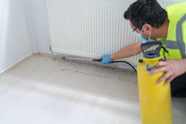 Best Emergency Pest Control  in Hollywood, SC